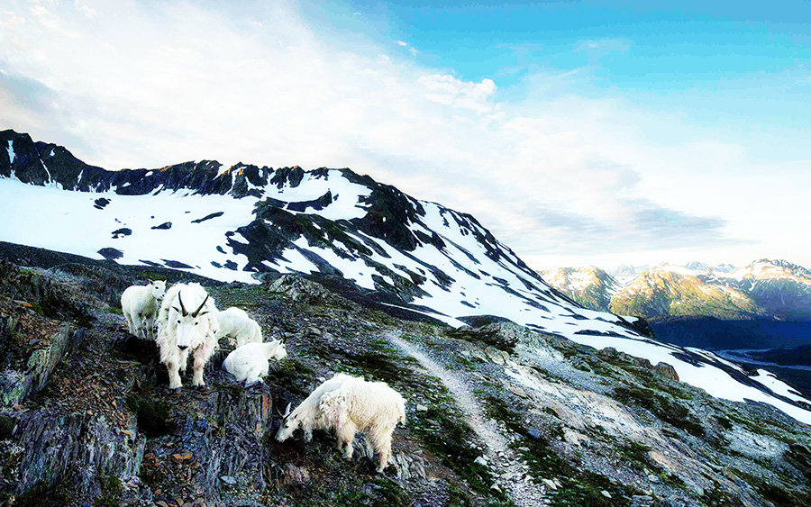 如何选择适合自己企业的<a  data-cke-saved-href='https://www.youlingsha.com' href='https://www.youlingsha.com' target='_blank'><u>crm系统</u></a>